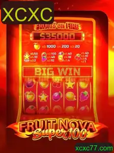 Descobrindo o Fascinante Mundo de FruitNovaSuper100